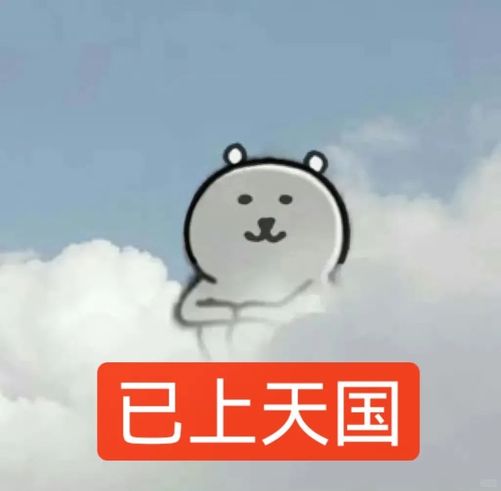 自嘲熊脸替表情包 