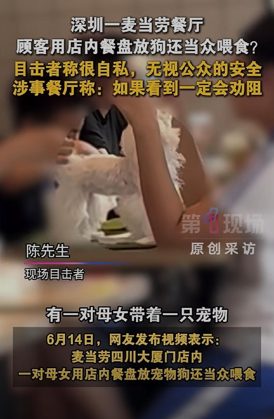 深圳一家麦当劳餐厅内！母女俩用店内的餐盘放狗，并且在餐厅里喂狗。

事情发生在麦