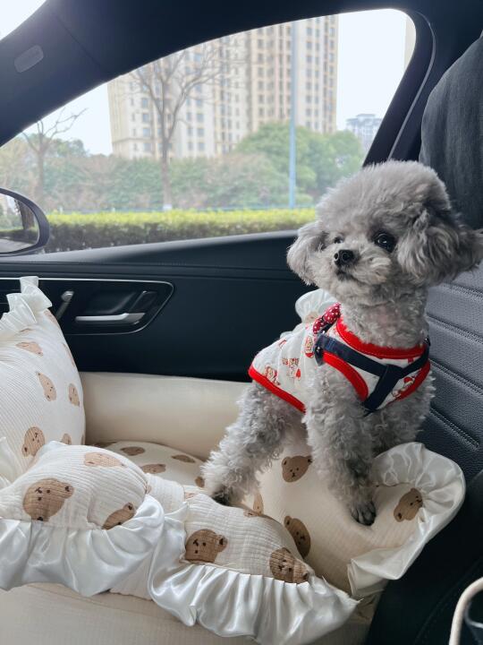 垫的高，看得远，小个子终于看到窗外
