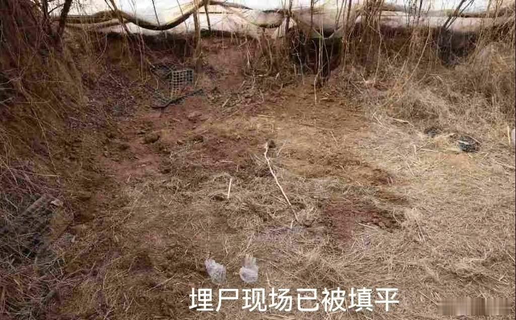 关于「邯郸一初中生遭3名同学杀害」案件后续，这三名男生最后会如何判刑？三名嫌疑人