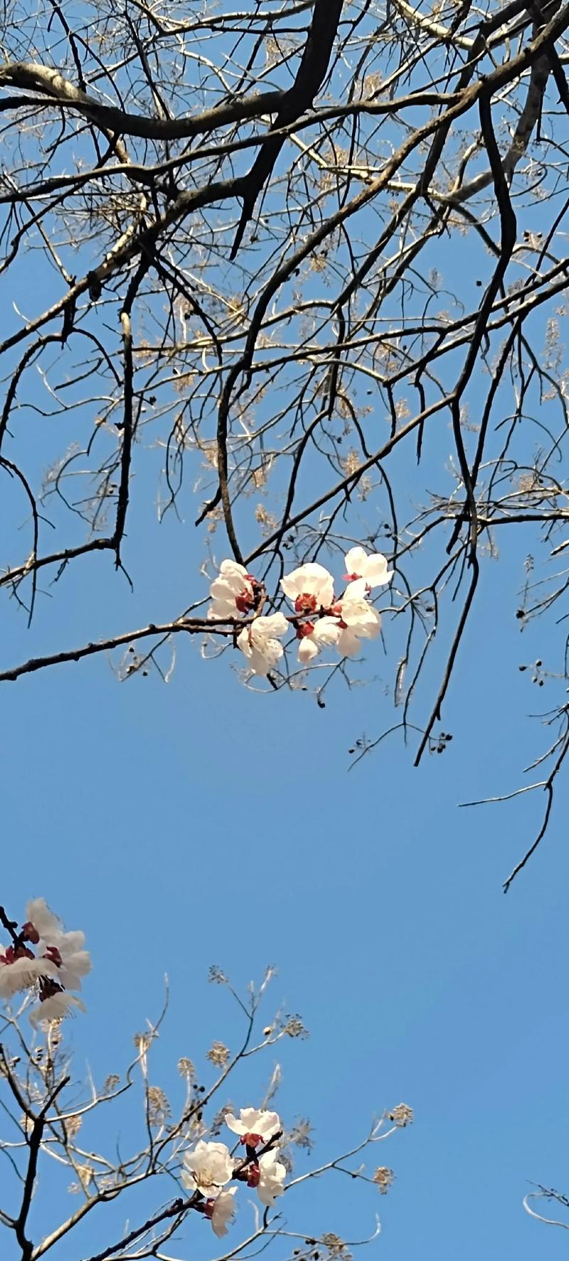 一个网友说：“一个人花16年读了一堆不能养活自己的书，花30年供一套根本不属于自