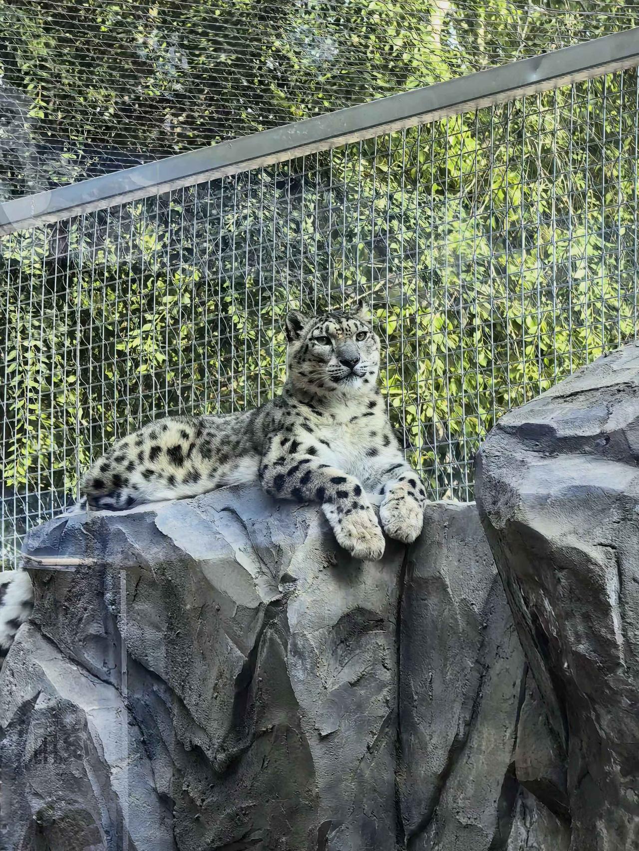 发一张图片，让我猜出你在哪里拍的