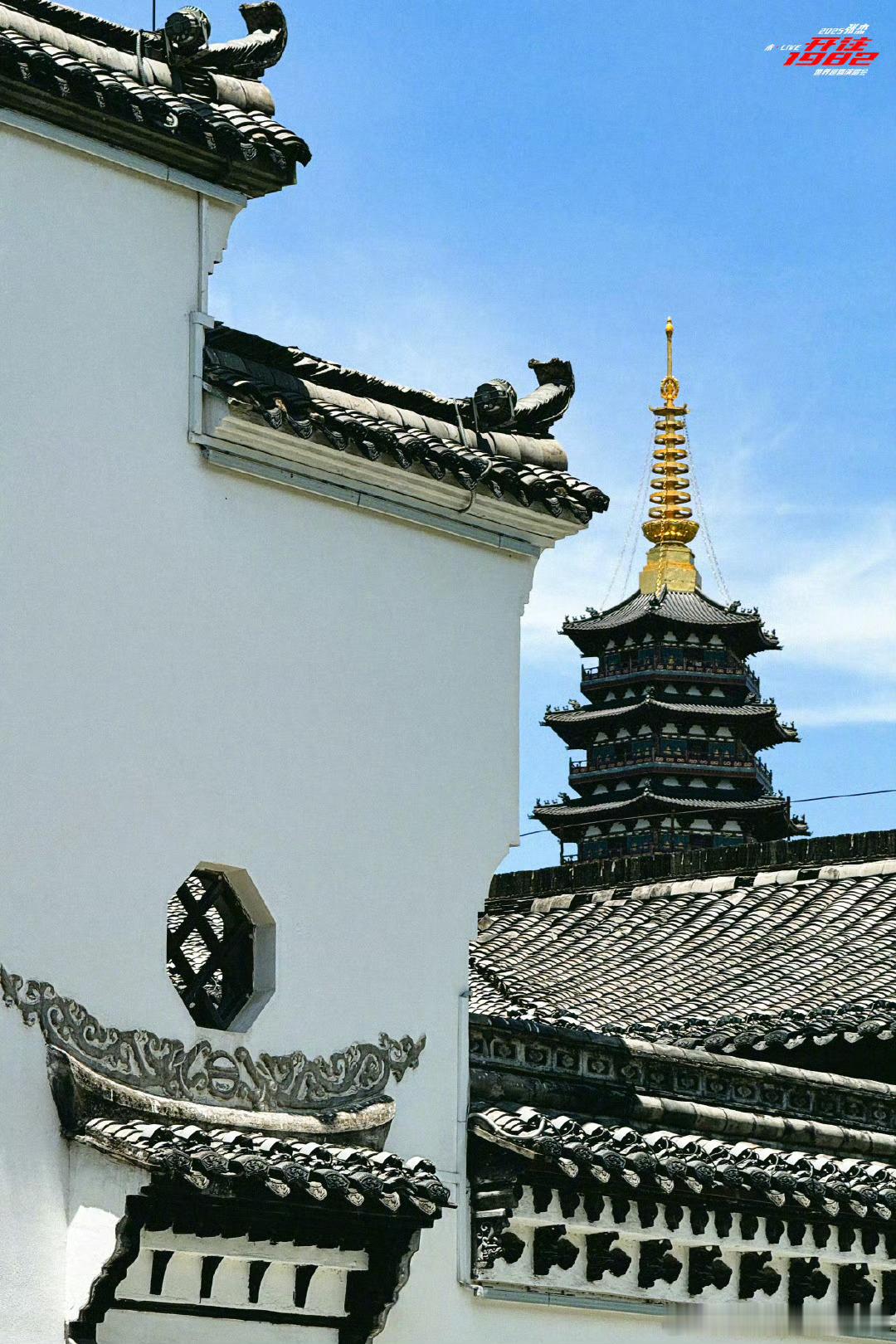 张杰金华plog张杰金华打卡 ​不错 ​​​