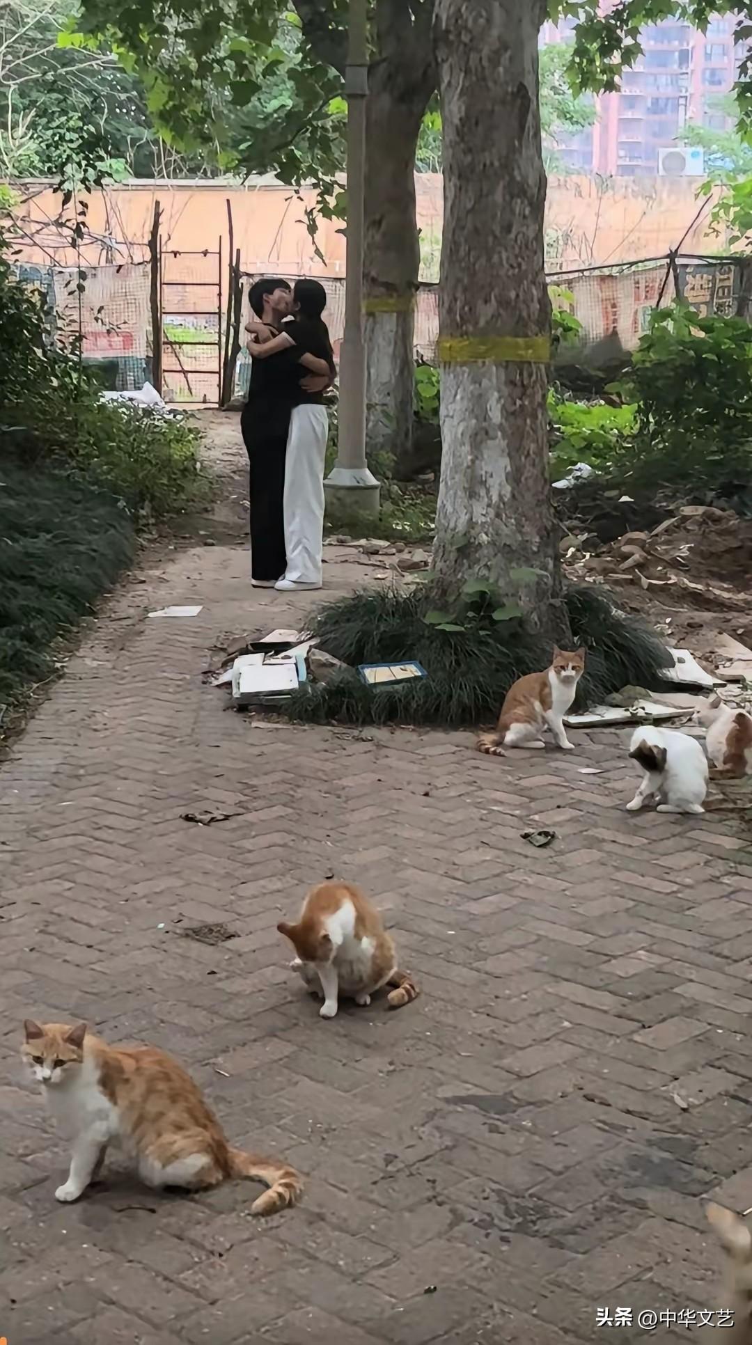 在城乡结合部，有自己的小院，养几只猫，和相爱的人过着幸福的二人世界，这样的生活都