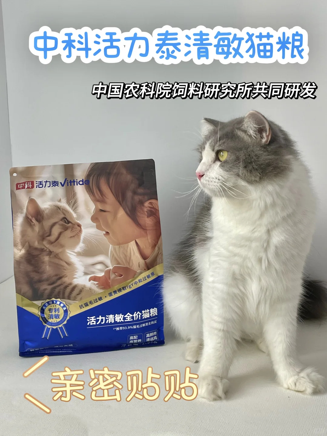 本来以为是养猫圣体，还是认输了！