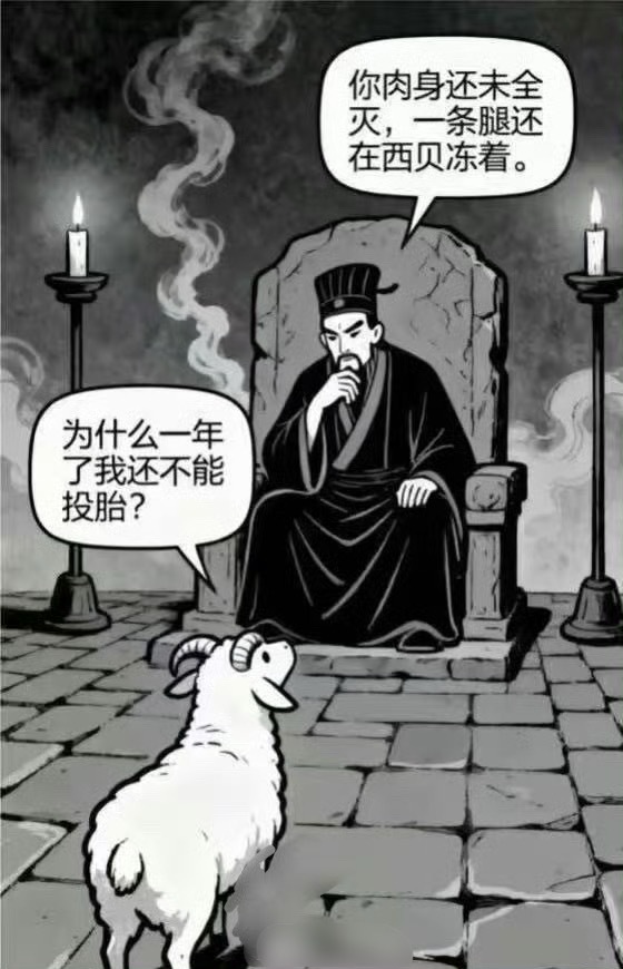 西贝员工称羊肉一年集采一次我一年都买好几回羊肉呢，马德一个开餐馆的一年才集采一次