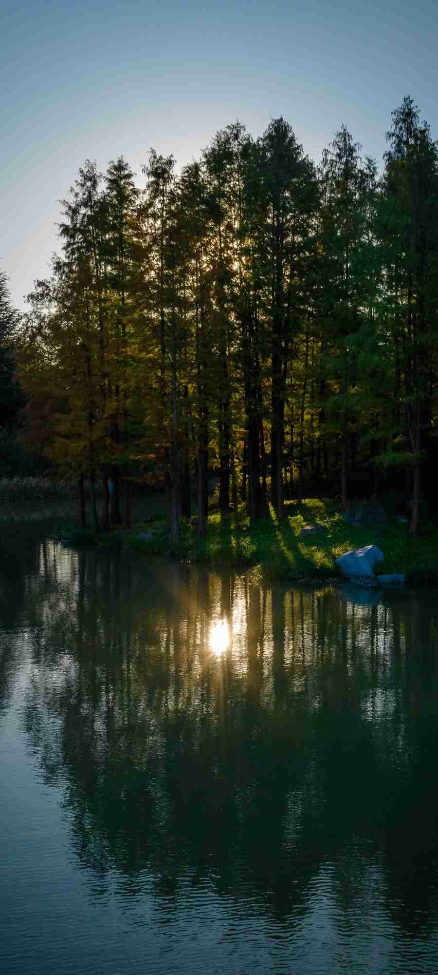 我的今日状态：😁轻松愉快
我这里的天气：☀️晴天