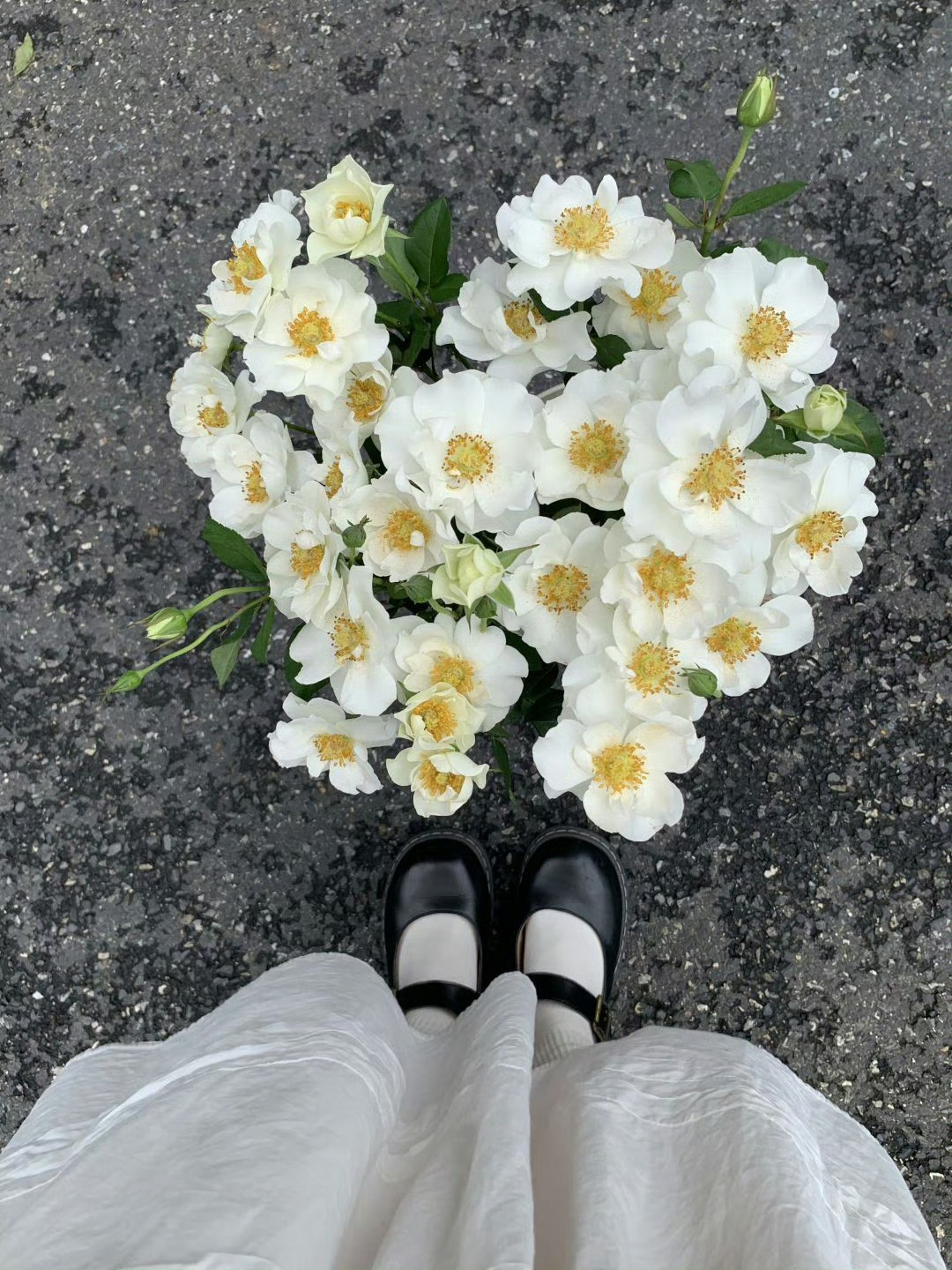 刷到就说明你要走花路了 