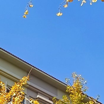 阳光信用 爱国、敬业、诚信、友善。  善不可不弘，恶不可不去。  善心人人有，快
