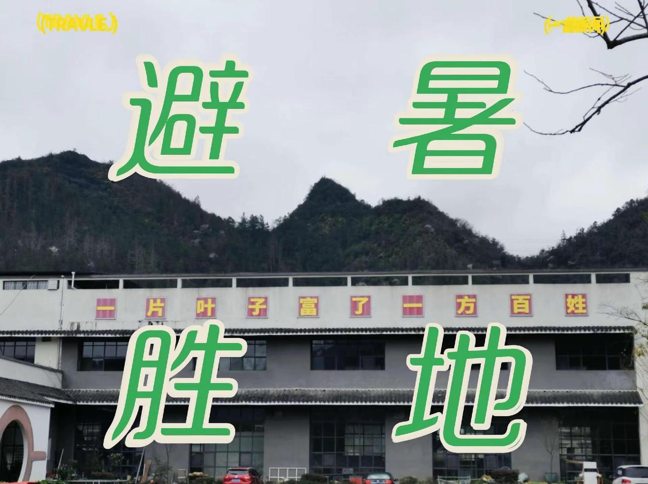 乌龙山茶庄园