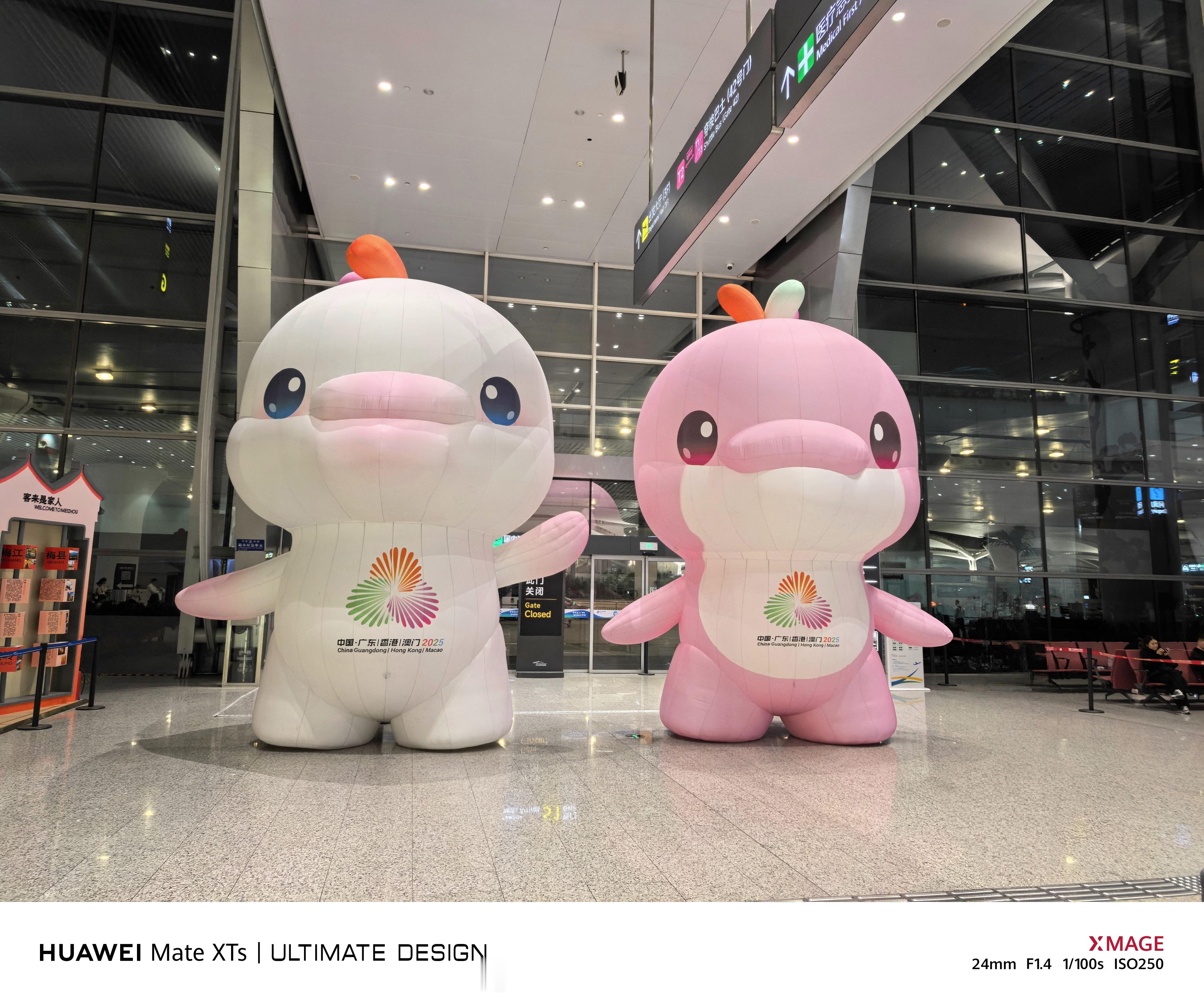 白云 T2， 好大只大湾鸡！ 广州·广州白云国际机场