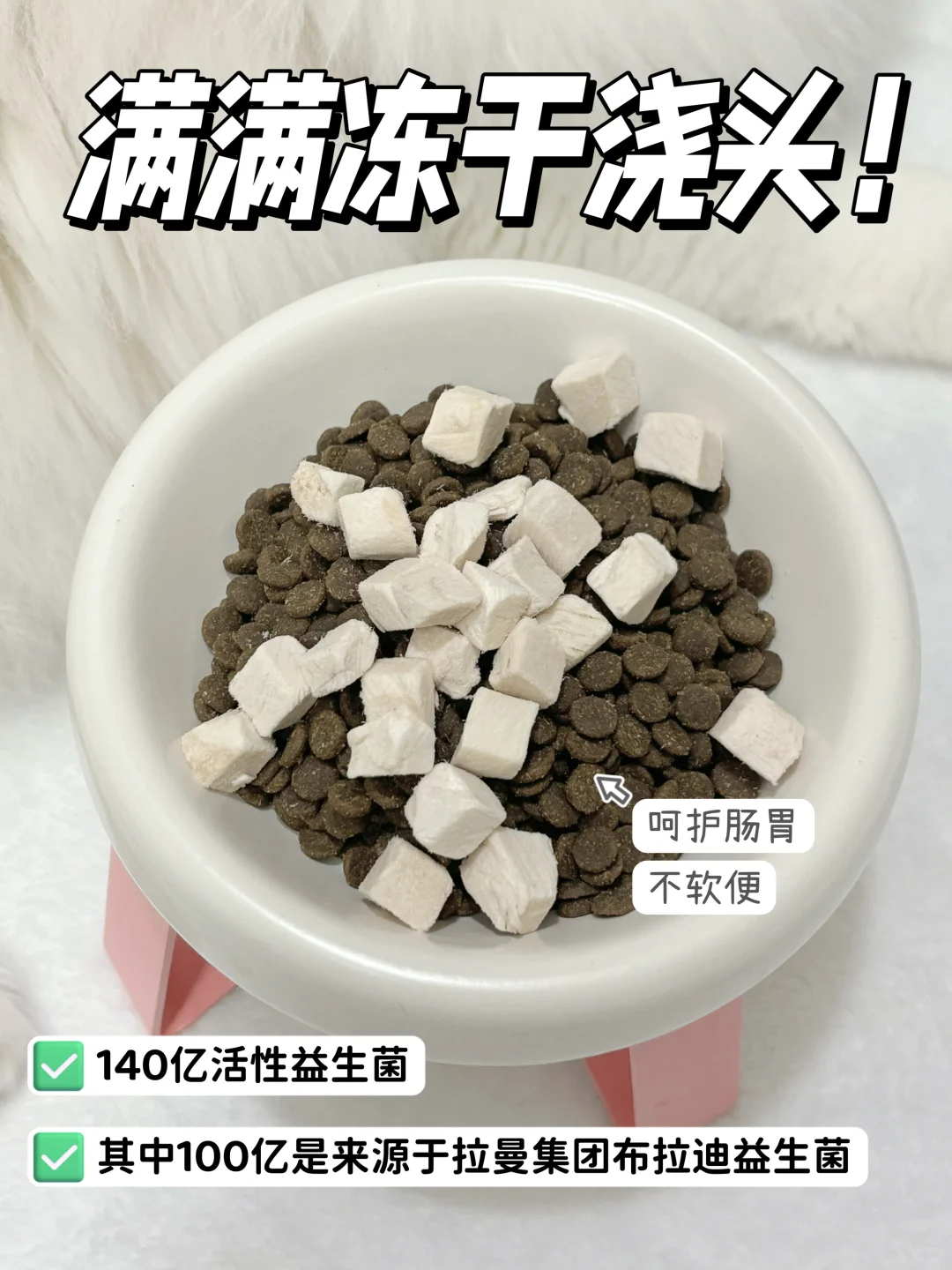 老天爷呀🐱布偶猫软便真的无解吗？