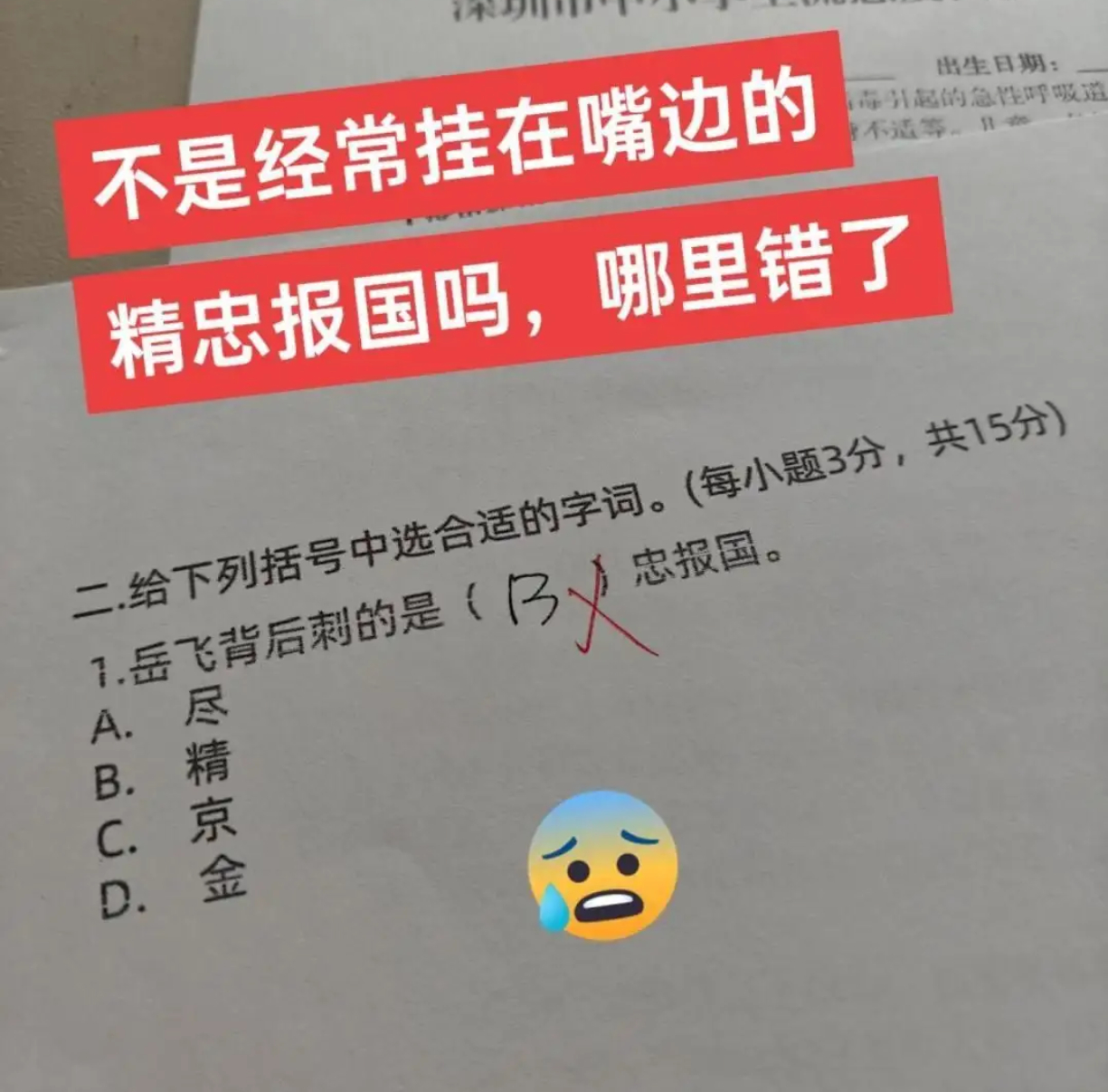 不是经常挂在嘴边的精忠报国吗，哪里错了 ​​​
