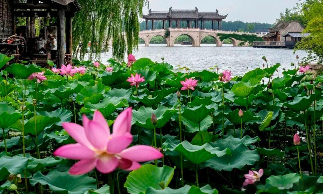 开封这条宋风雅集路线，慢悠悠邂逅千年宋韵✨线路：中国翰园碑林→清明上河园→朱仙镇