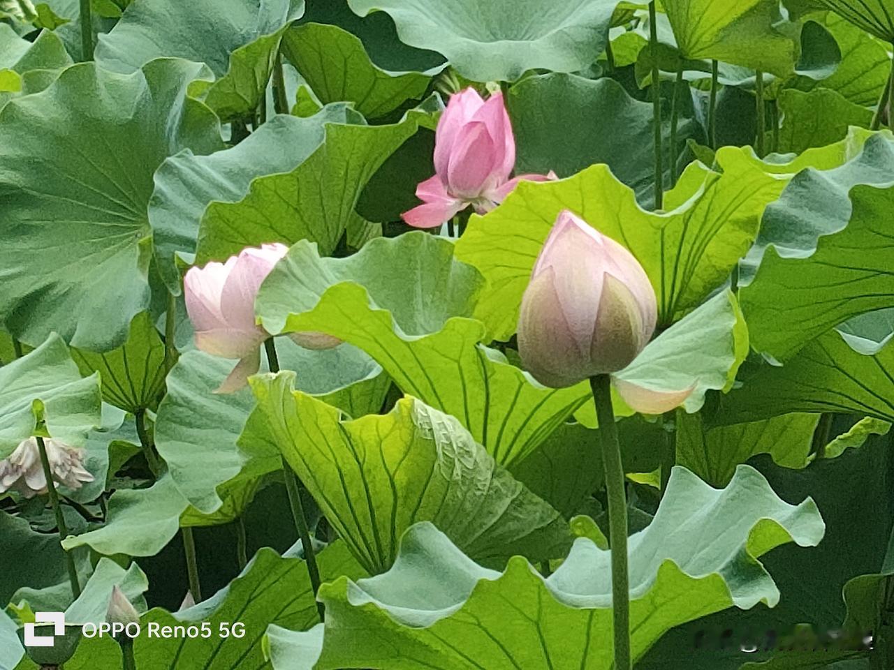 迟重瑞，很多人先想到他是“女首富丈夫”，“吃软饭”的标签贴了三十多年，其实我们可