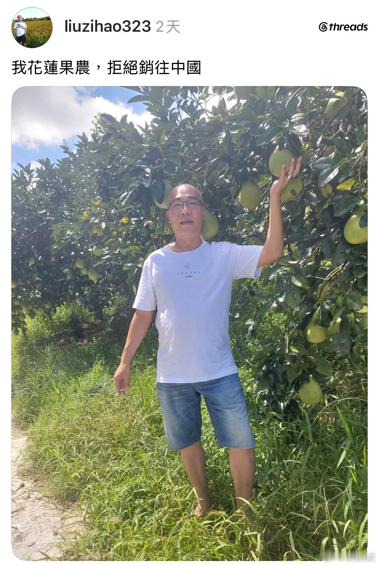 也没对岸的商家过去收啊！台湾傻事迷惑行为大赏 ​​​