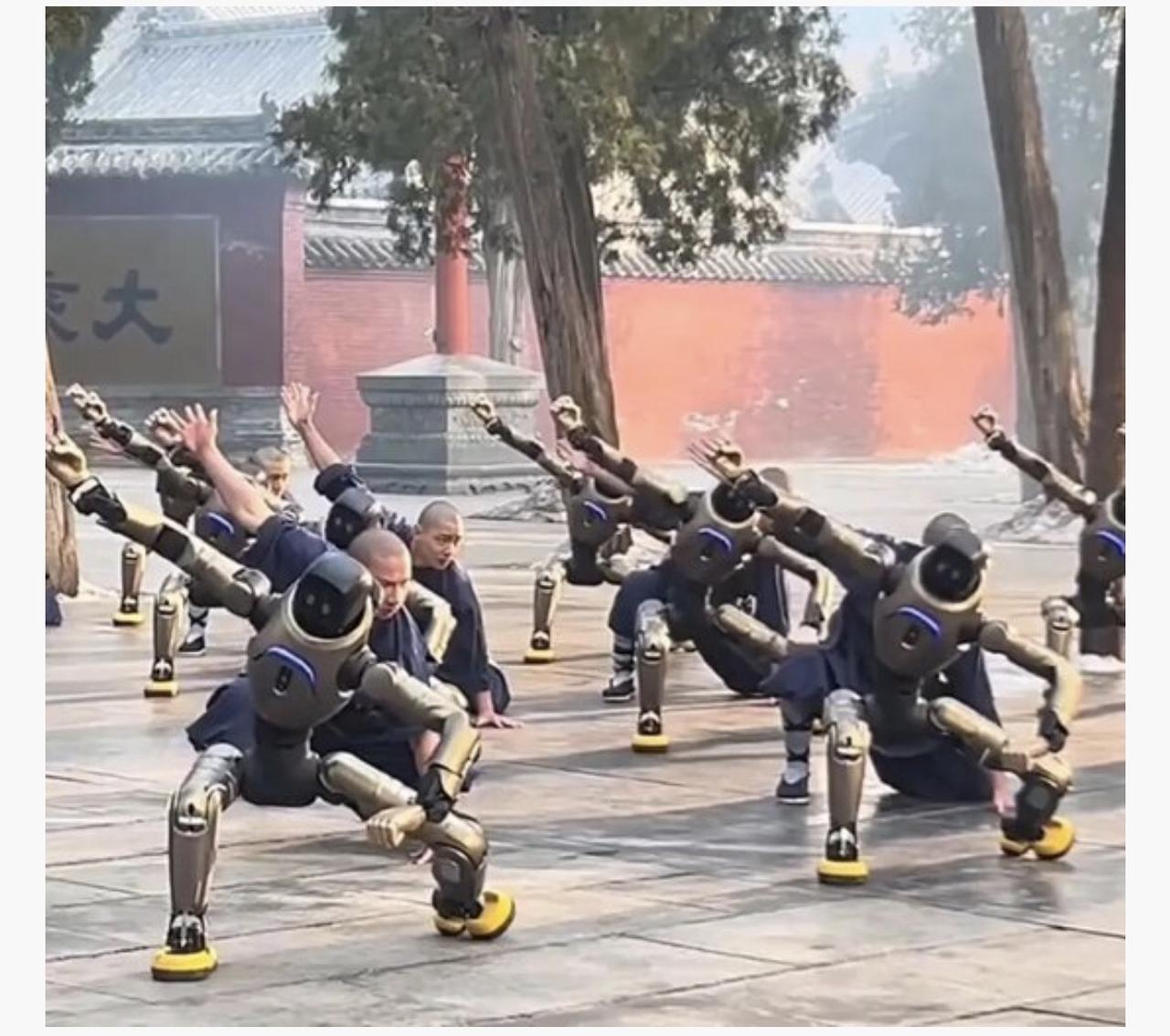 哈哈哈哈哈，也太可爱了吧，机器人也去少林寺学武术了？！这模样还挺像！

自从机器