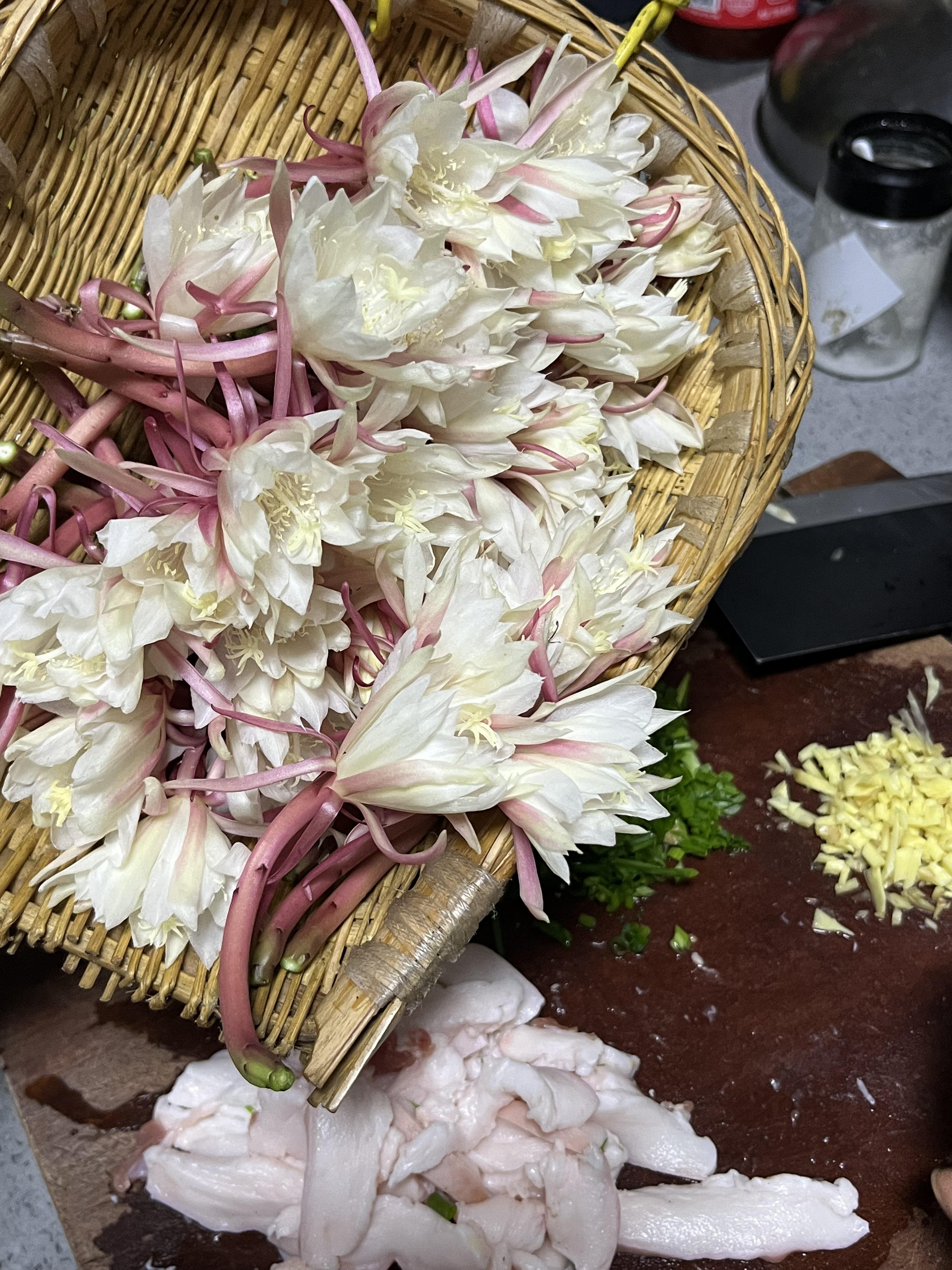 你的昙花开了，你会：A.摘了煲汤喝。B.静静观赏至花谢，才摘掉 C.不...