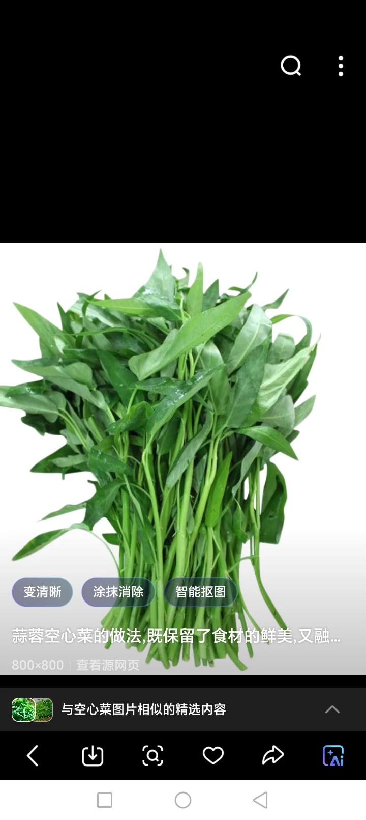 空心菜在湖北很多地方叫竹叶菜。竹子是一节一节的，每节是空心的，叶子是长条形的，和