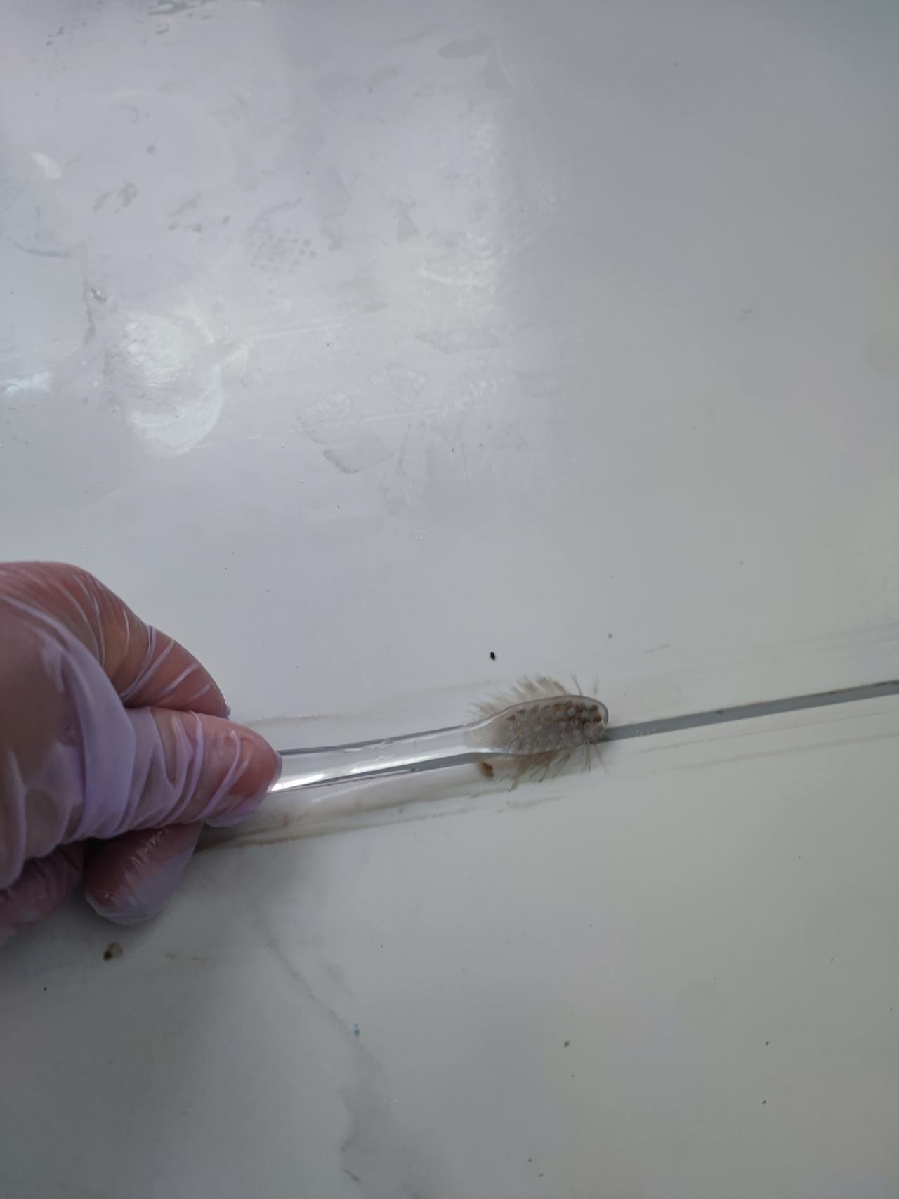 年纪大的人别整太大的房子。
年纪大了可别整太大的房子，
过来人的温馨提醒。[黑线