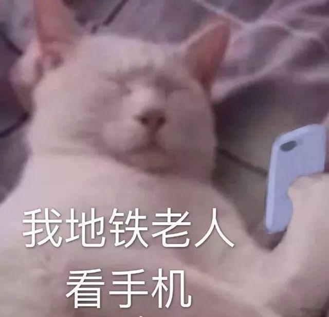 #张丹峰问为什么没早点遇见洪欣#狼来了，狼来了，狼又来了……这位姐你，下次狼真的