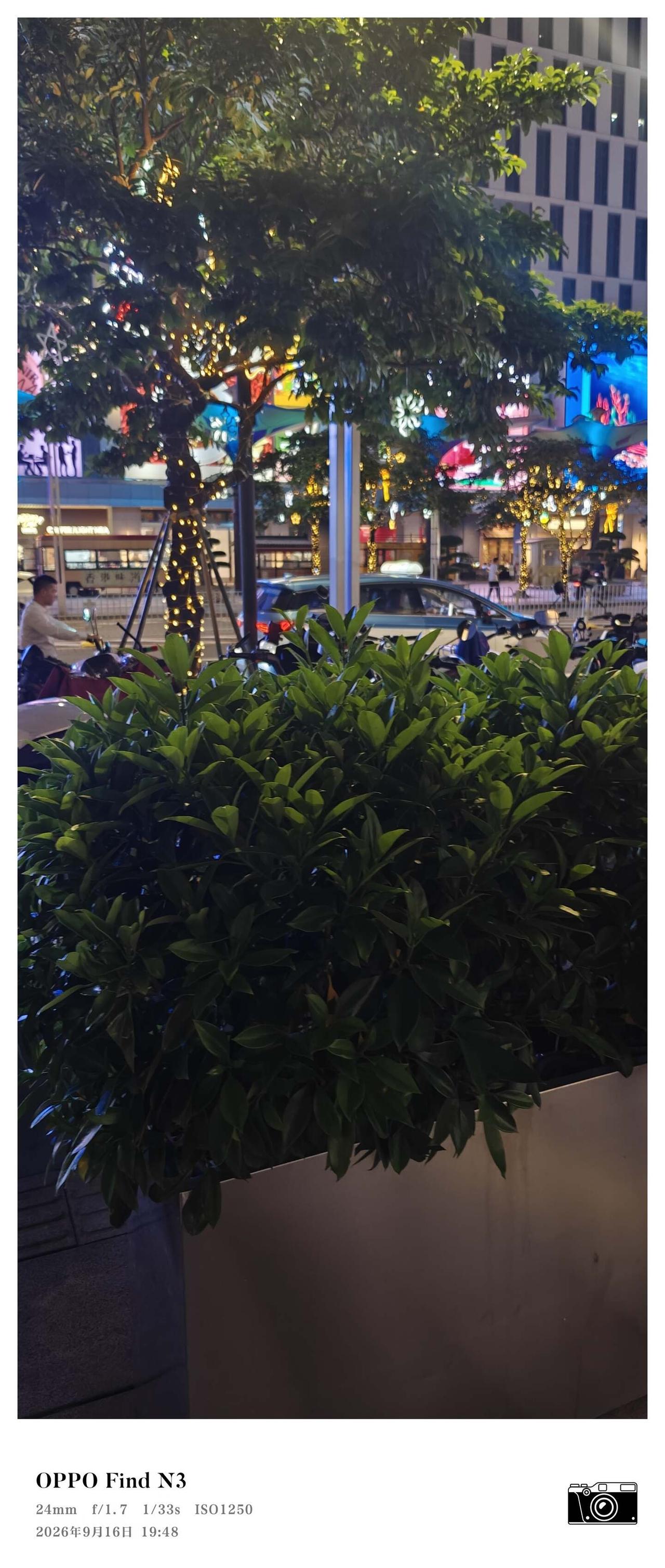 前景软乎乎的绿植刚好把背后夜市的灯火衬得朦朦胧胧，那种夜晚逛吃慢悠悠的松弛感直接