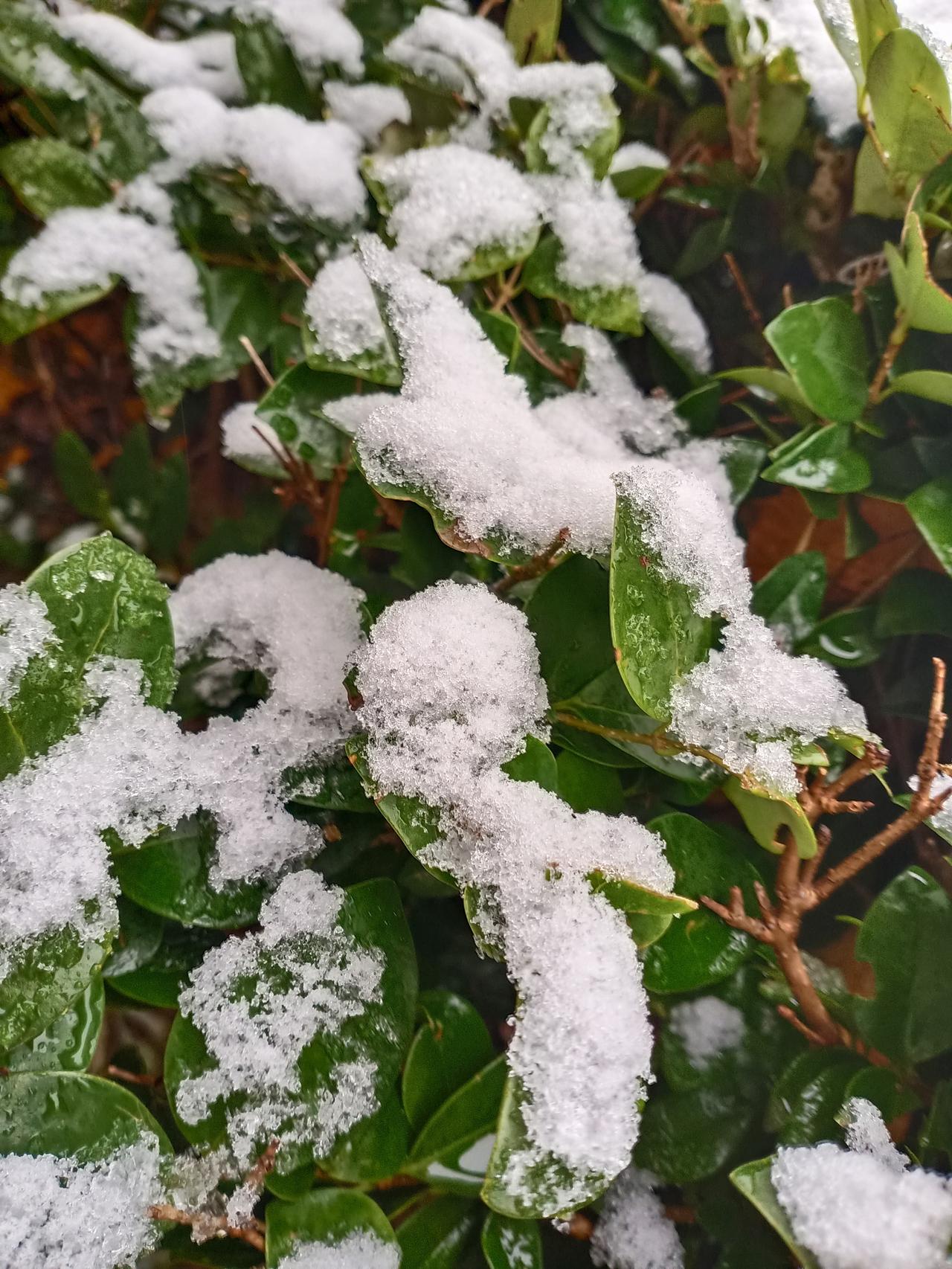 今天翻到了去年的雪。
去年冬天好像是昨天一样，今天又到了初冬时节了。
我们的时光