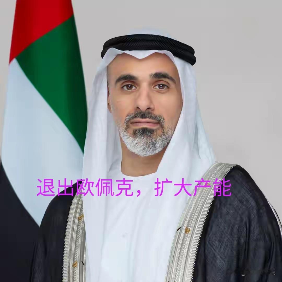阿联酋这个国家真可谓是人狠话不多

决定退出石油输出国组织（欧佩克/OPEC）及