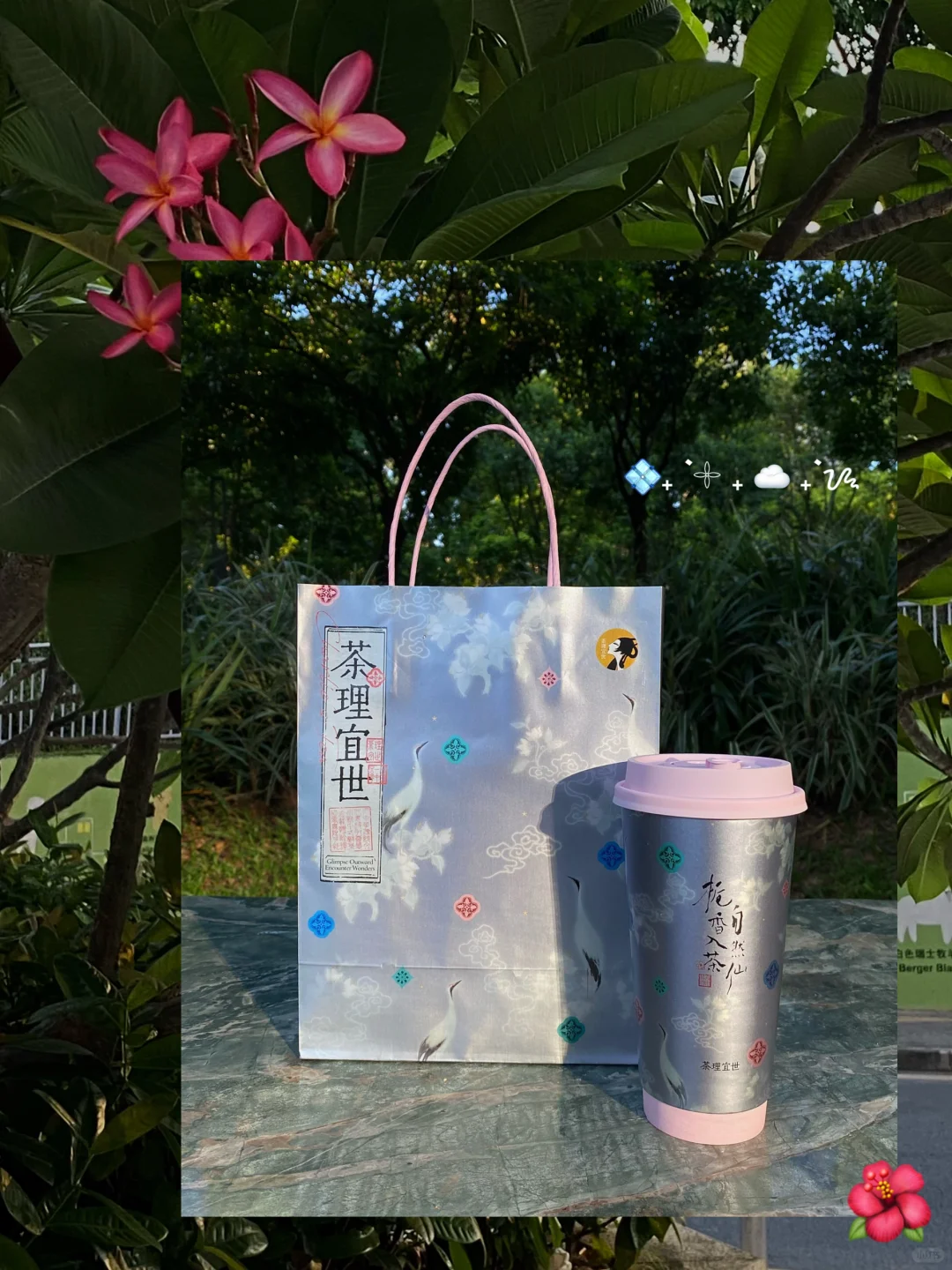 深圳 | 在公园品一口栀香浓郁🍃˚꒪∮
