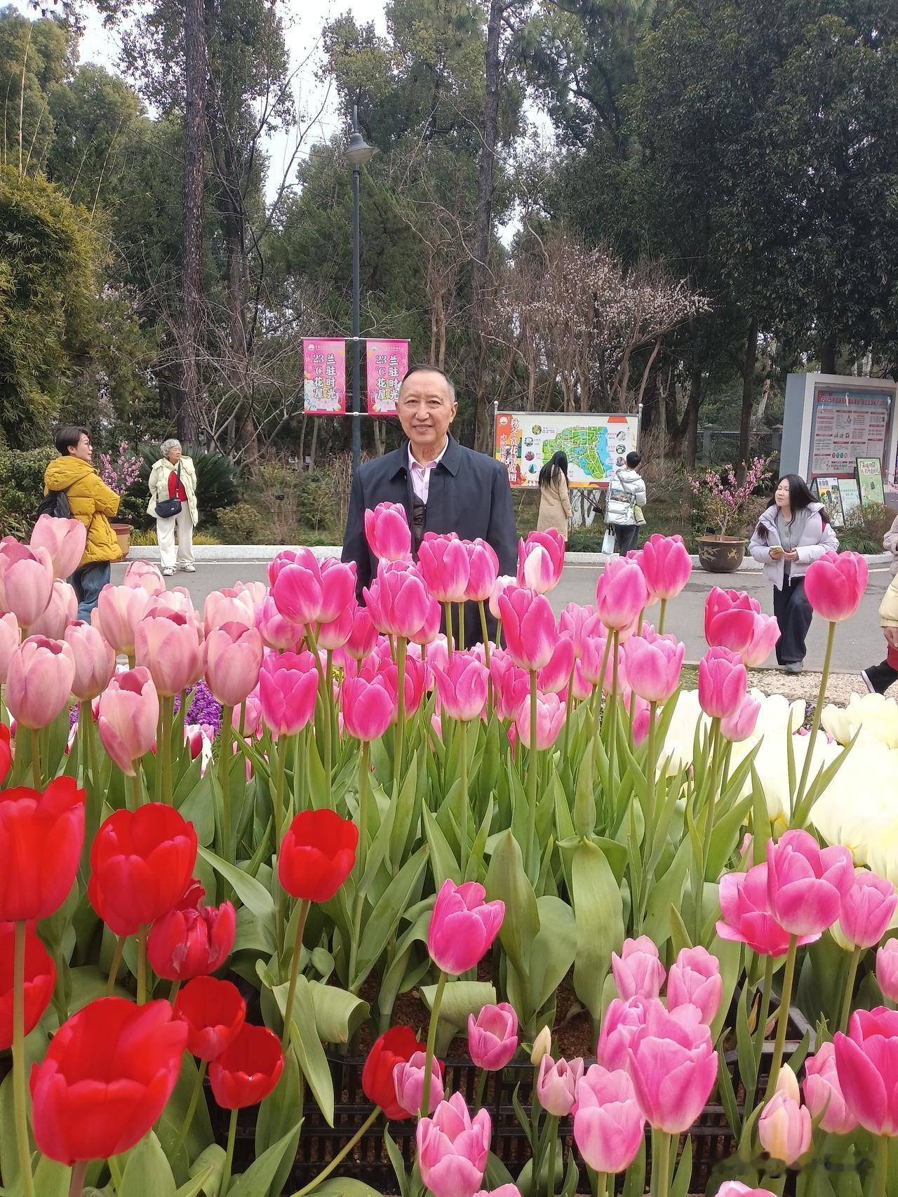 植物花，应该有香气，为什么进园一点香味没有！
是变质了，还是其它原因，这鲜艳的花