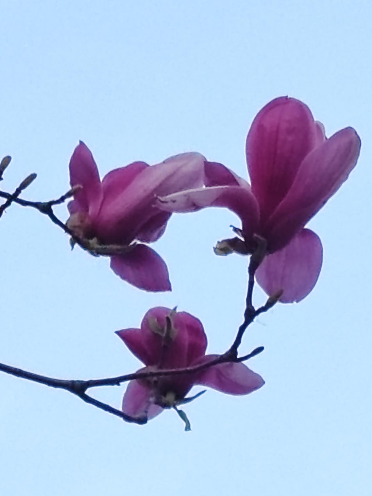 嘴巴长在别人身上，愿意怎么说就怎么说吧。自己兜里有几毛钱自己知道。日子是你过，别