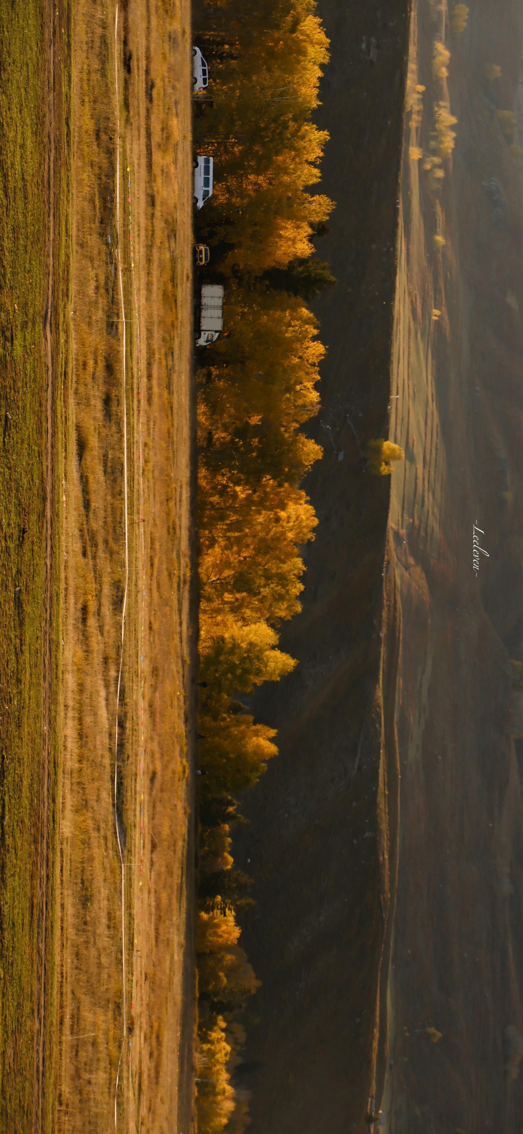 短暂而明晃晃的秋天🍂 ​​​