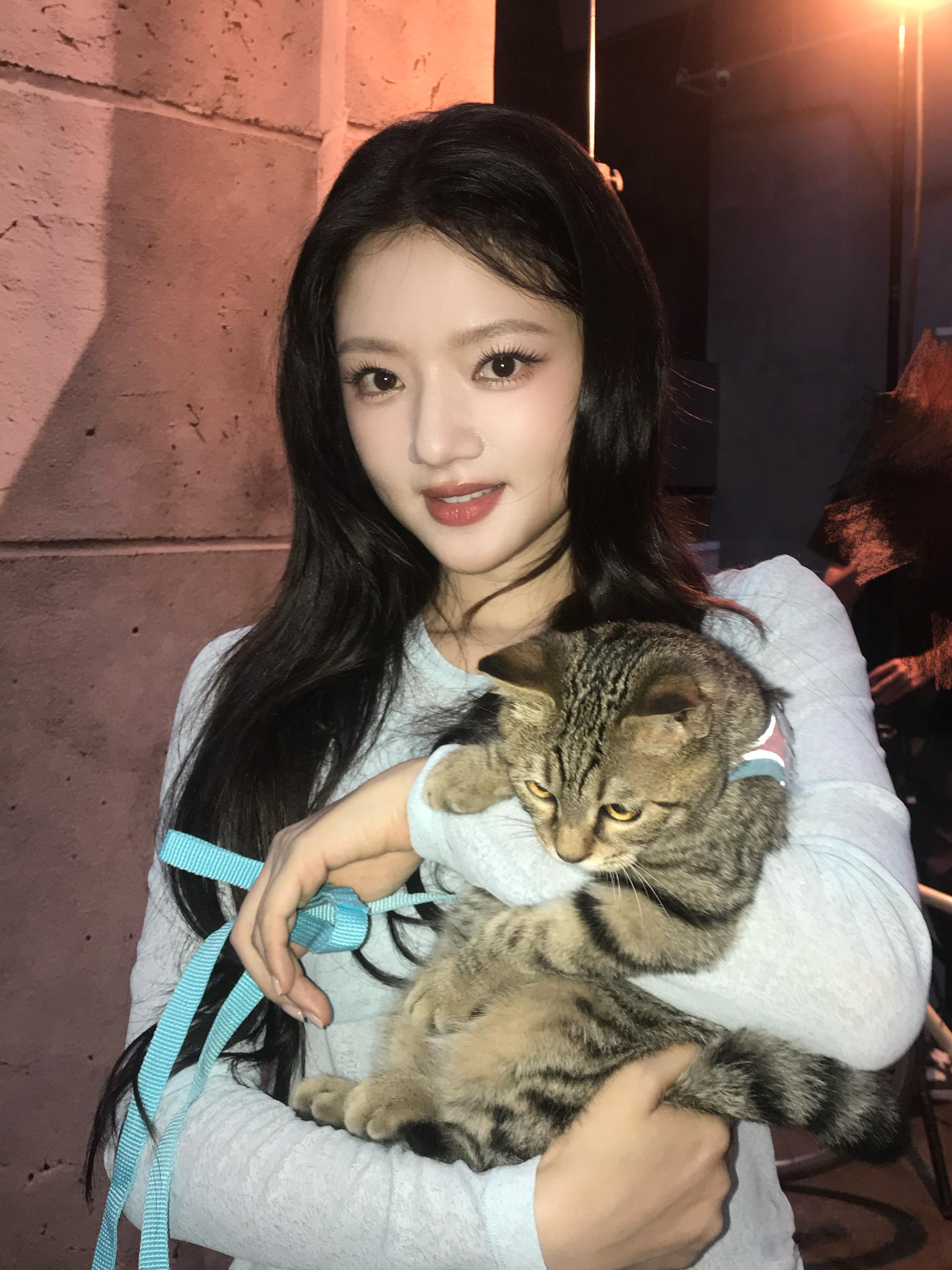任敏和捡来的小猫贴贴任敏的猫是海拉尔捡的 哇塞，这次任敏的猫是海拉尔捡的，看到和