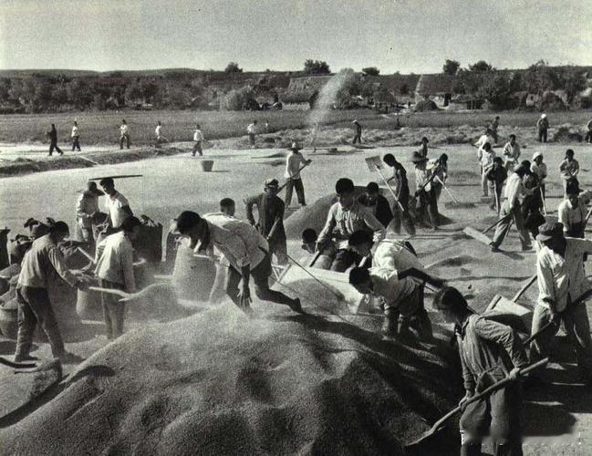 史载：荆楚盛地，江南鱼米之乡。
湖北自古是个好地方，绝对是改革开放前至上古西周.