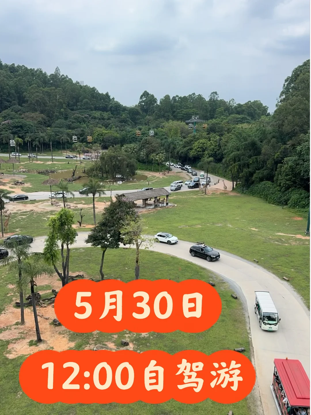 长隆野生动物世界5月30日自驾游