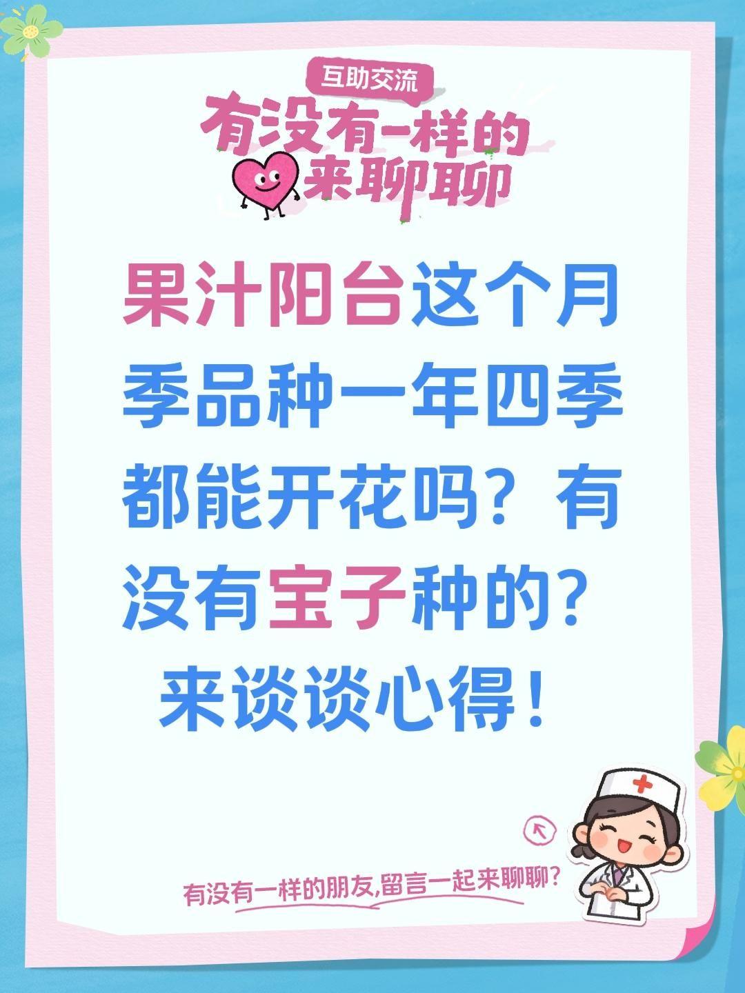 果汁阳台这个月季品种怎么样？果汁阳台这个月季品种一年四季都能开花吗？有没有宝子种