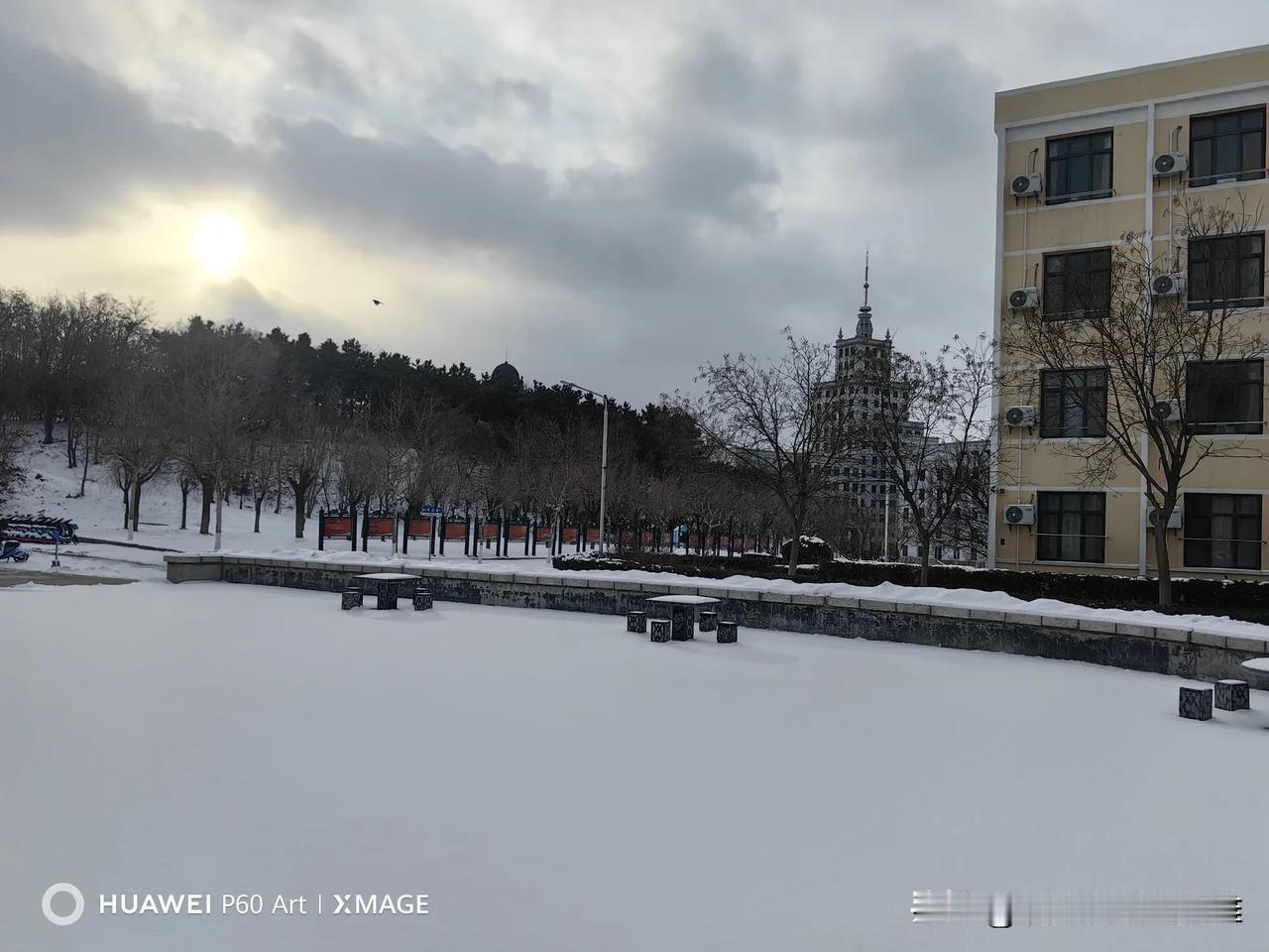 分享一张你最近随手拍的照片吧雪浴朝阳