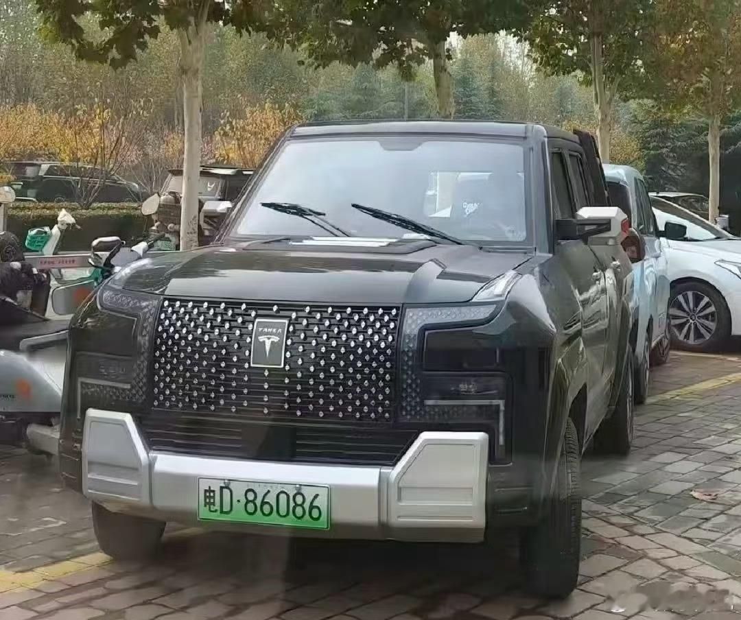 这是特斯拉？还是比亚迪仰望？[顶] 