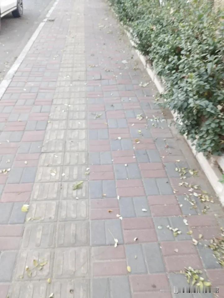 令人发指！湖南两高中生奸杀女教师，16年申诉终被驳回
 
2025年11月21日