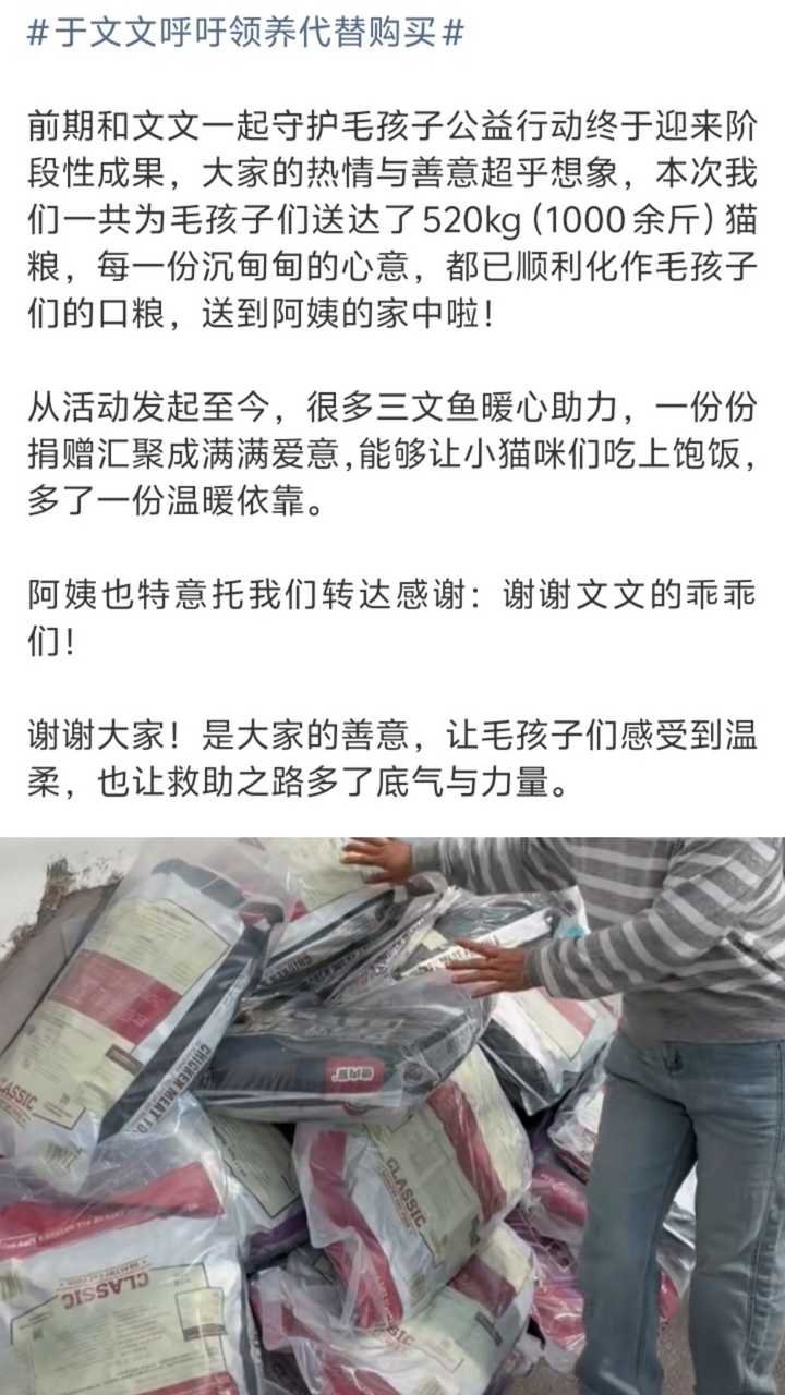 于文文呼吁领养代替购买并捐赠物资、领养小猫后，粉丝也跟着进行了相关捐赠活动！公众