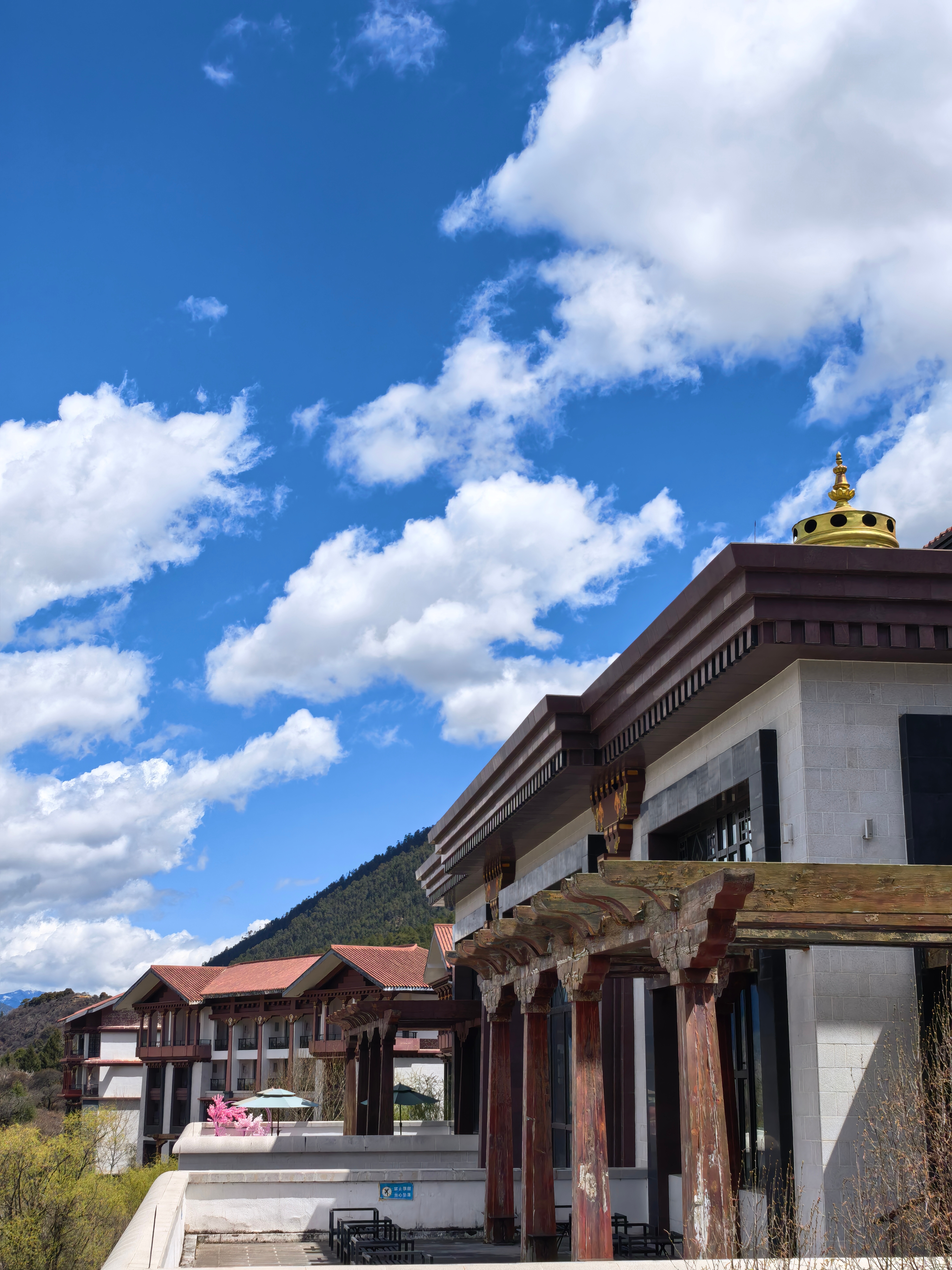 早上好朋友们今天工作略繁重要开着新锐活力动感的 M6欣赏林芝最美的桃花和雪山当然