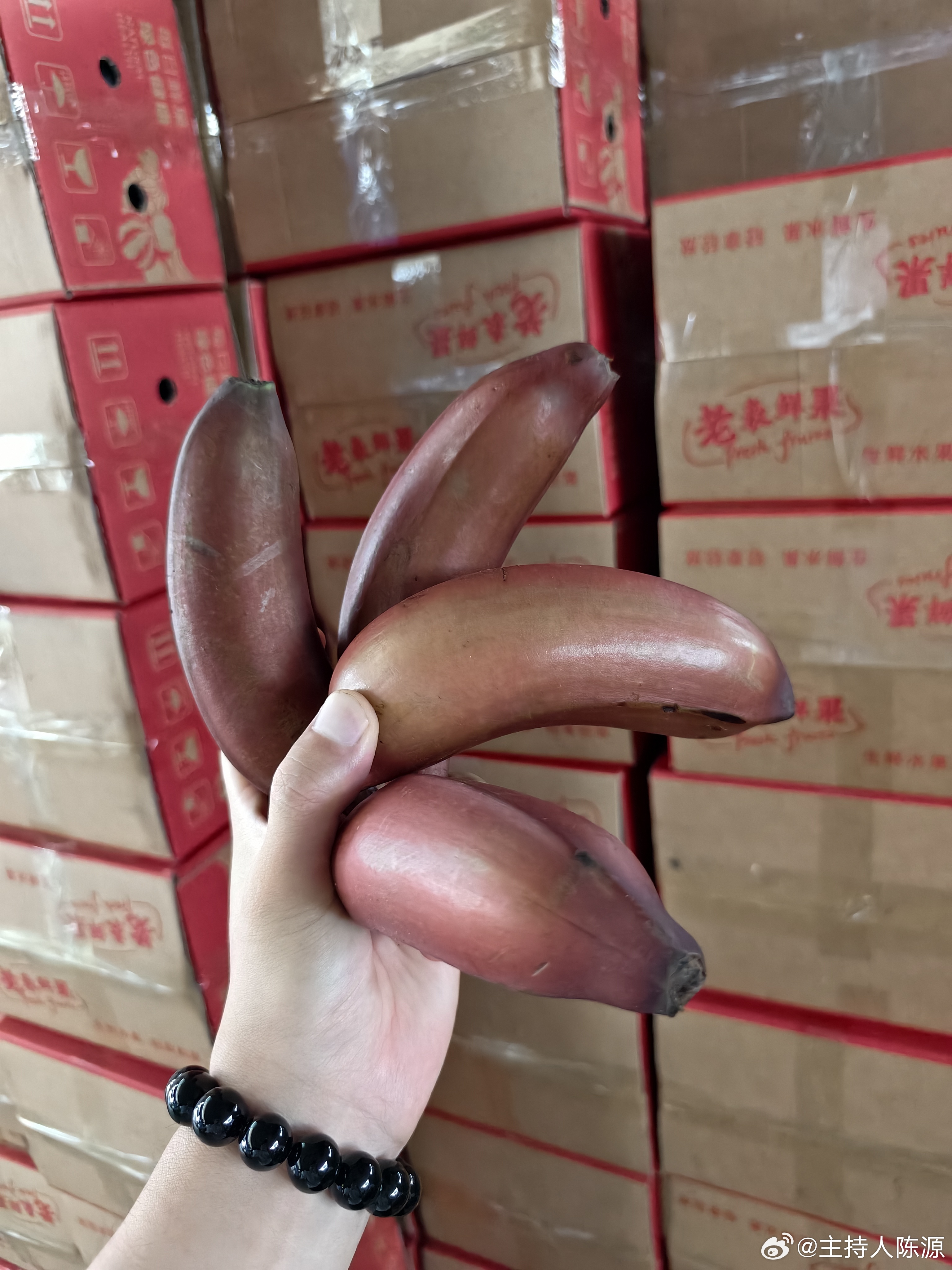 爱心助农推广大使｜推介红色美人香蕉🍌✅稀有蕉中珍品｜天然红皮，自然生长✅口感｜