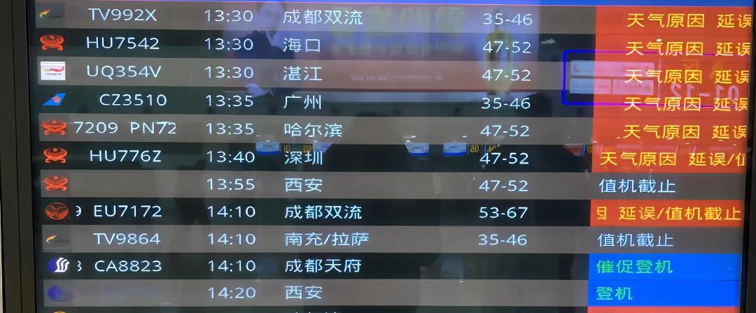 山航真是一枝独秀啊！ 