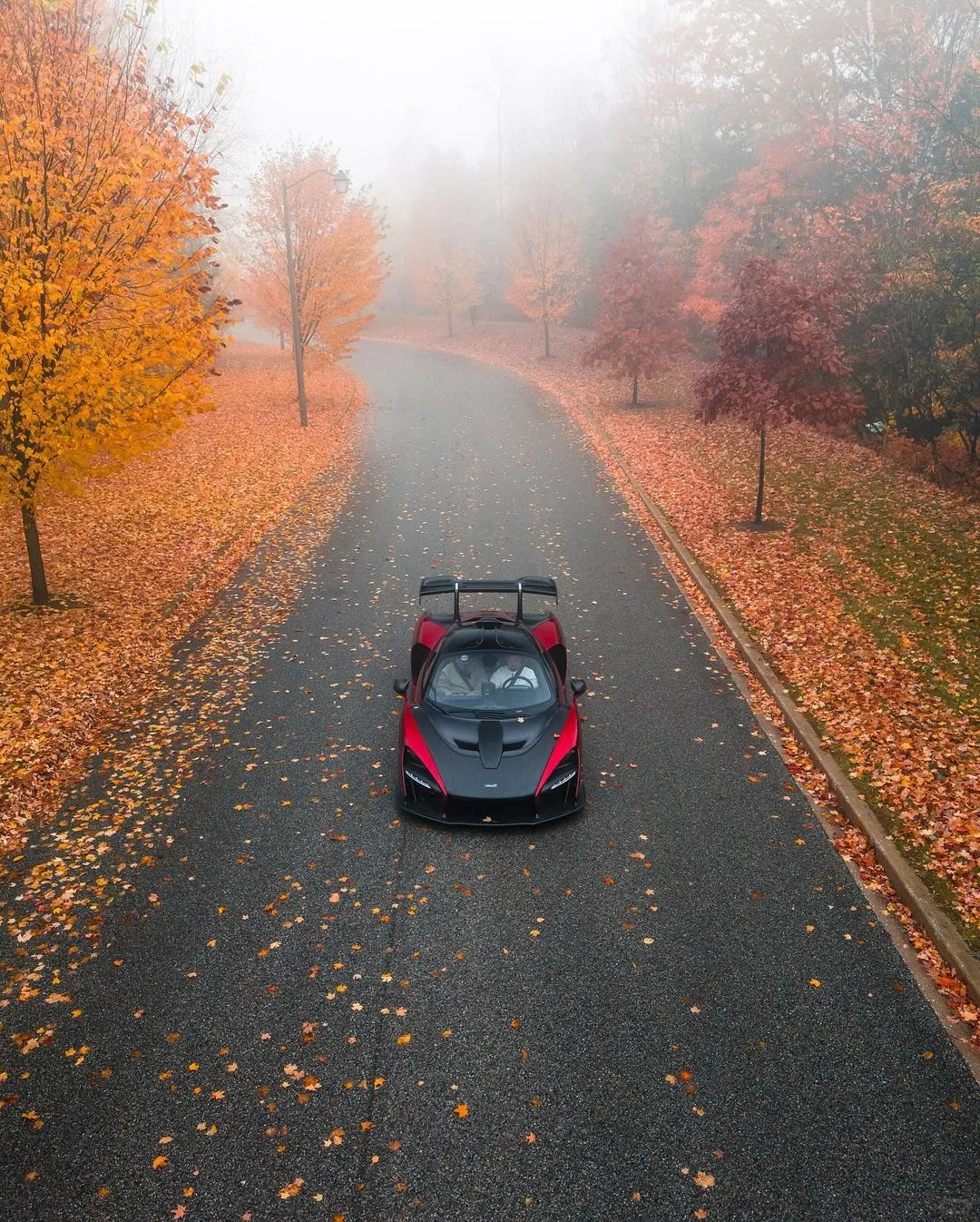 Fall really is the best season 🍁