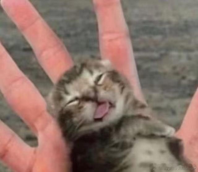 第五人格[超话] 大家有没有玩过一年以上的角色？为啥这么爱她/他 