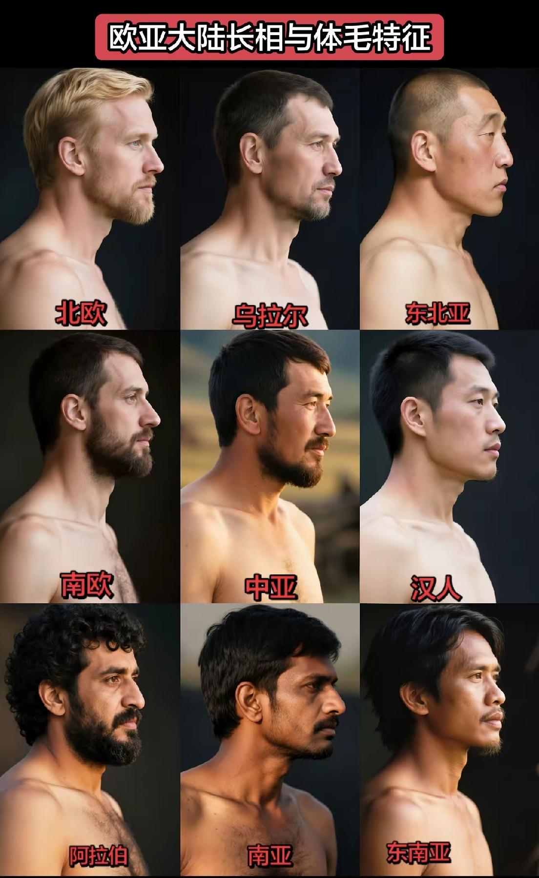 照这么看世界上最好看的人还是咱中国人，有人把世界上欧亚大陆的各个地区的人作了一个