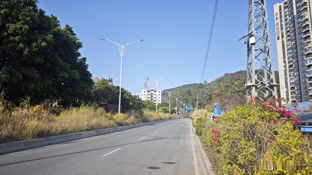 难得一见，广兴路重新修好了几年，一直没有维护，绿化带都变杂草带了。今天下午经过，