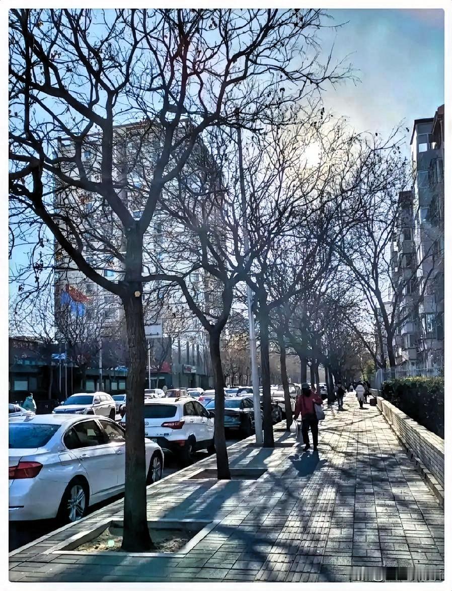 提前通知大家，
大家也好有个心理准备，
再过2天，也就是1月8号就正式
进入三九