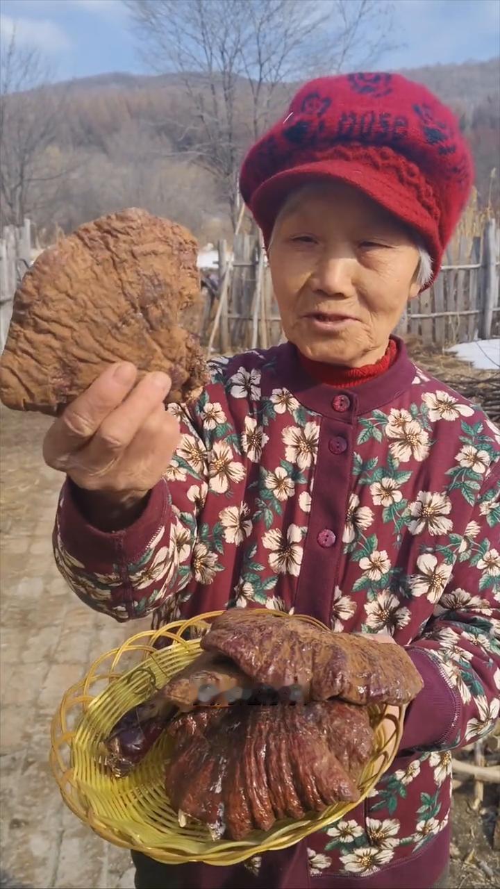 黑龙江原始大森林白松上生长的纯野生的松杉灵芝。
我家是小兴安岭的主脉原始大森林，