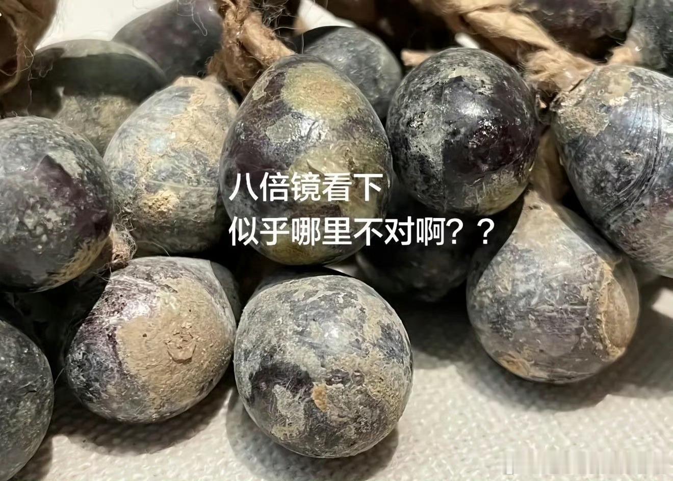 第一次被中式美学震撼到 园林里一步一景，月洞门框住四季，假山流水藏着“藏与露”的